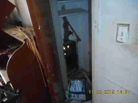 9226 Forrer (28)_m.jpg